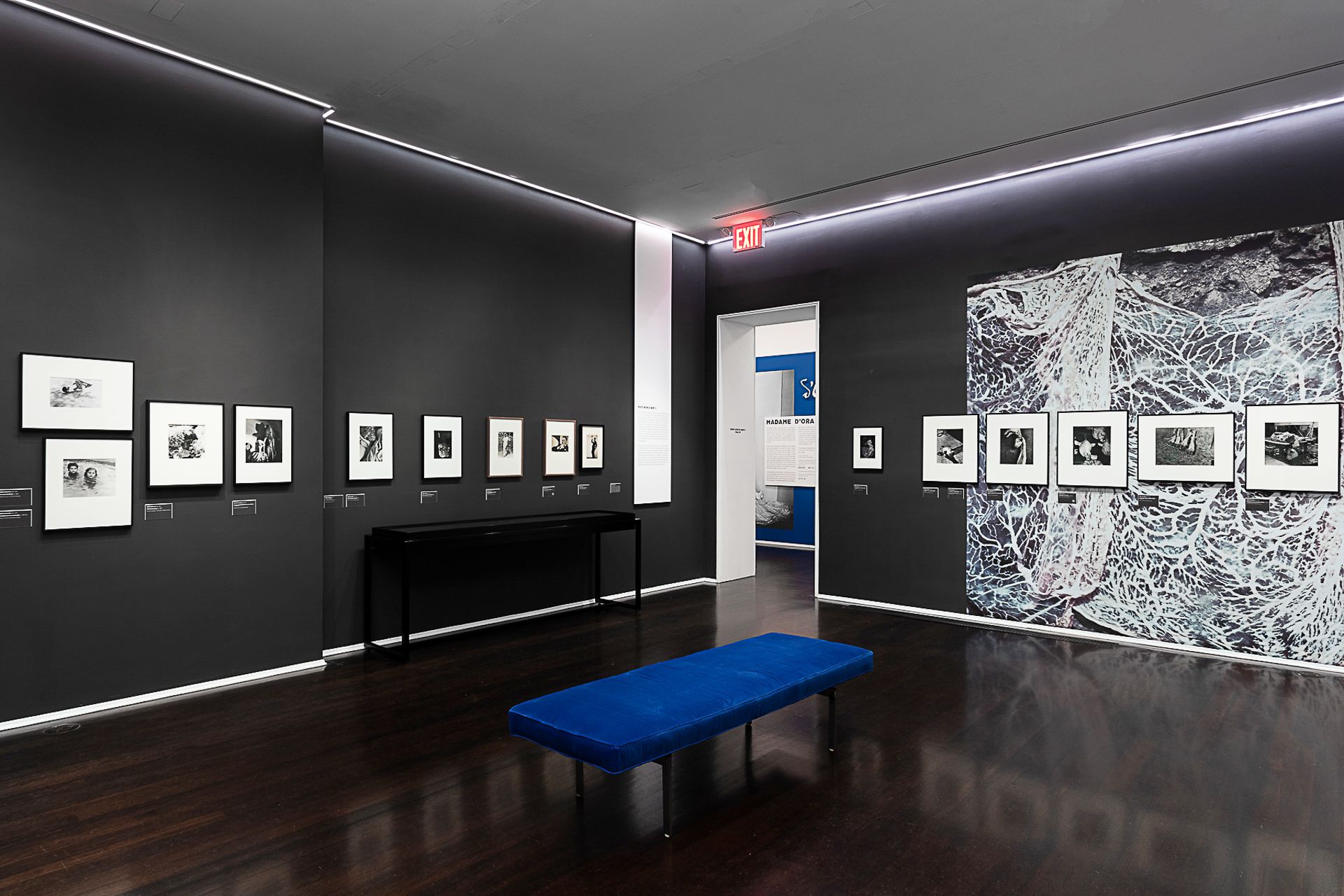 Installation views of “Madame d'Ora." Photography by Hulya Kolabas.